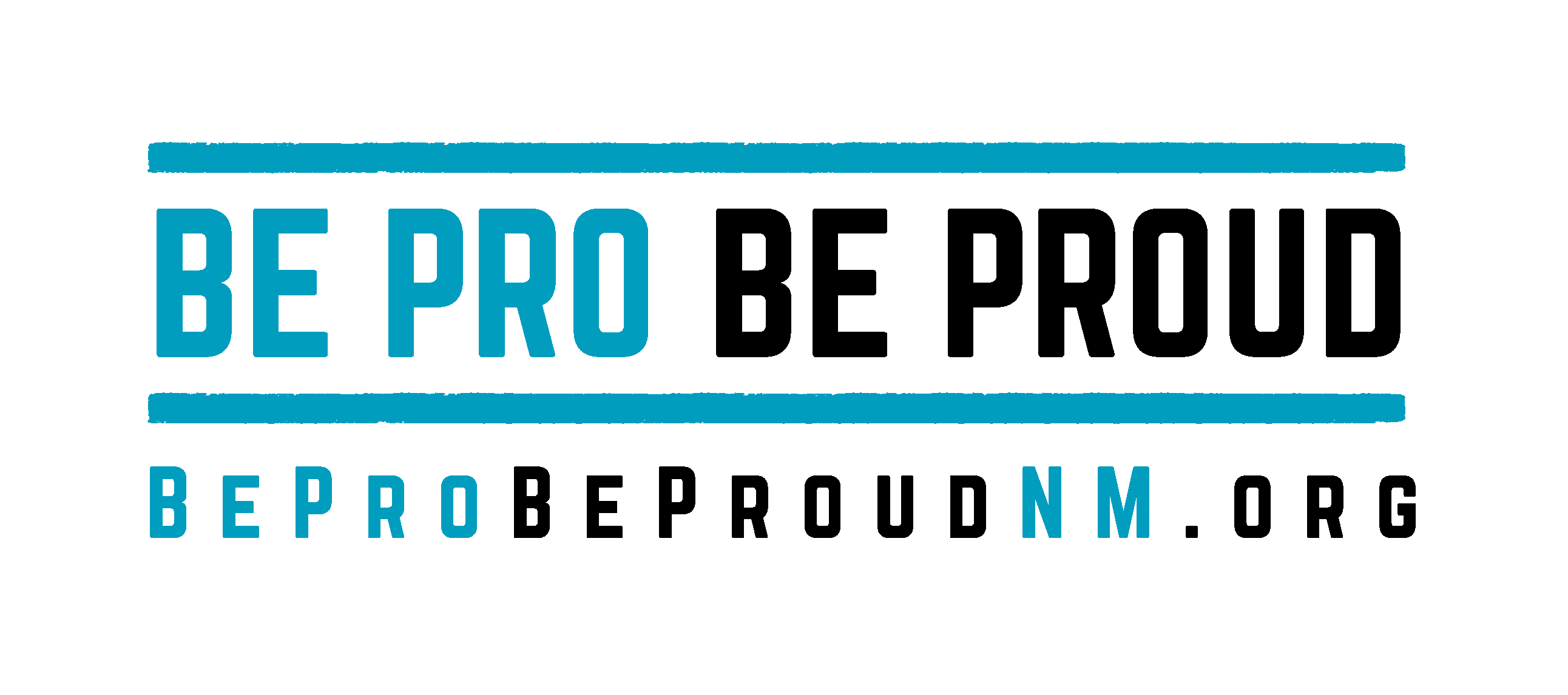 BPBP_NM_Horizontal_TurquoisBlack